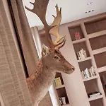 Boutique Wellenberg