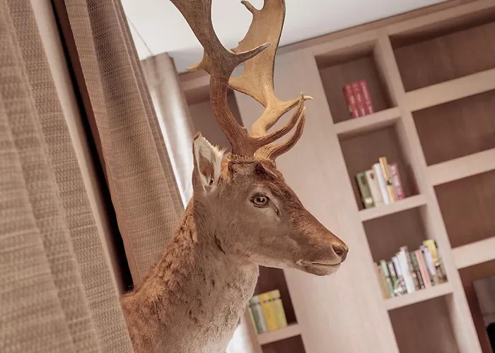 ヴェレンベルク